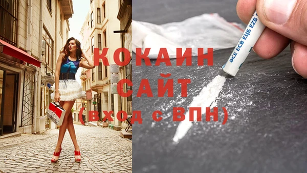 тгк Инта