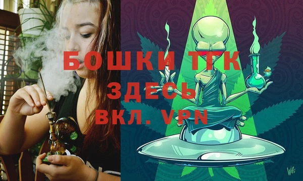 тгк Инта