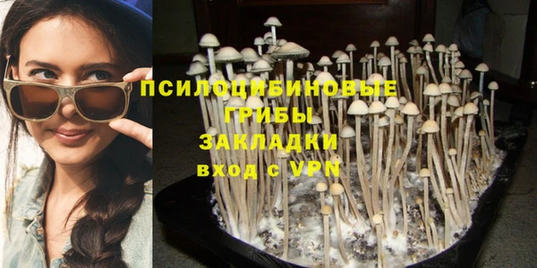 мяу мяу мука Иннополис