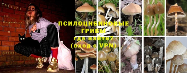 тгк Инта