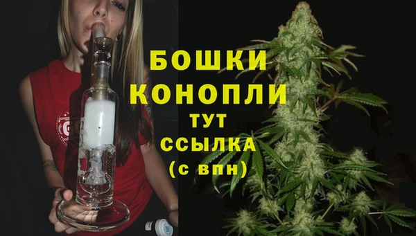 тгк Инта